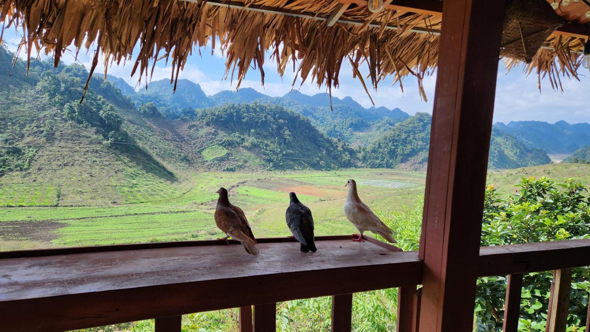 Moc Chau Peachy Garden Apartment Cameră foto